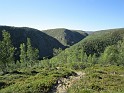 kesä 2011 349